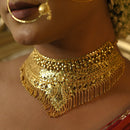 Rajvika - Broad Choker Set - BRISHNI