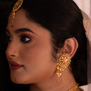 Shatadal Jhalor Sitahar Set - BRISHNI