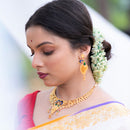 Mayurpankhi - Peacock Motif Necklace Set - BRISHNI