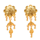 Pranvi - Jhalor Necklace Set