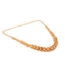 Jui Golap Mala Necklace Set - BRISHNI