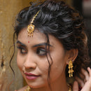 Mehul - Tikli - BRISHNI