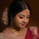 Radha - Tikli - BRISHNI