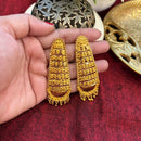 Rezi Work Fancy Earrings - BRISHNI