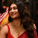 Royal Elegance Jhalor Necklace Set - BRISHNI