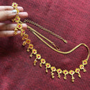 Stone Drop Flower Line Komor Bandhani - Waist Belt - BRISHNI