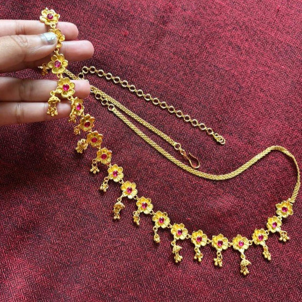 Stone Drop Flower Line Komor Bandhani - Waist Belt - BRISHNI