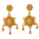 Bloom Charm Sitahar With Matching Earrings - BRISHNI