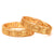 Nakshi - Karigari Bangle - Two Pieces - BRISHNI