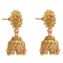Surjomukhi Small Jhumka - BRISHNI